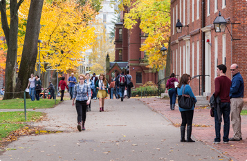 不断货稳定的网络攻击软件